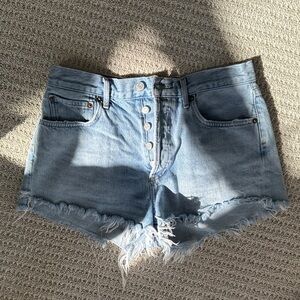 AGOLDE Parker Light Blue High-Rise Button-Front Denim Shorts